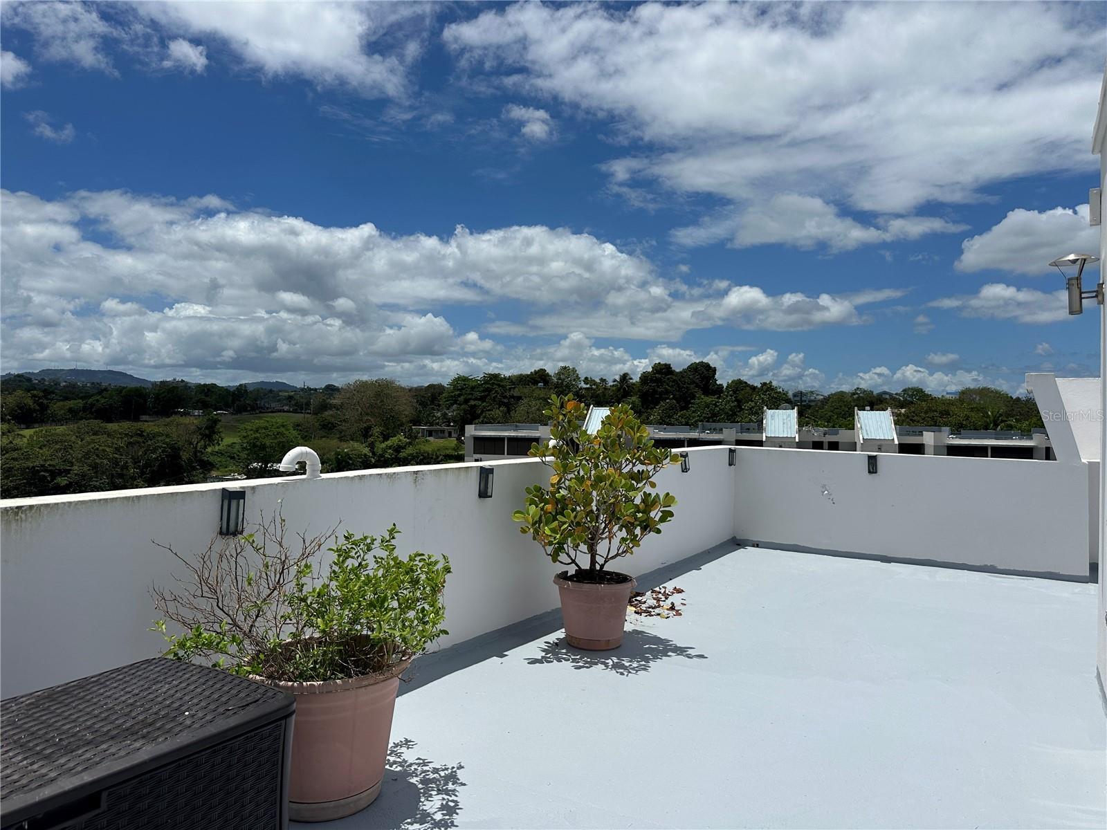 PALMARES DE MONTEVERDE #PH4