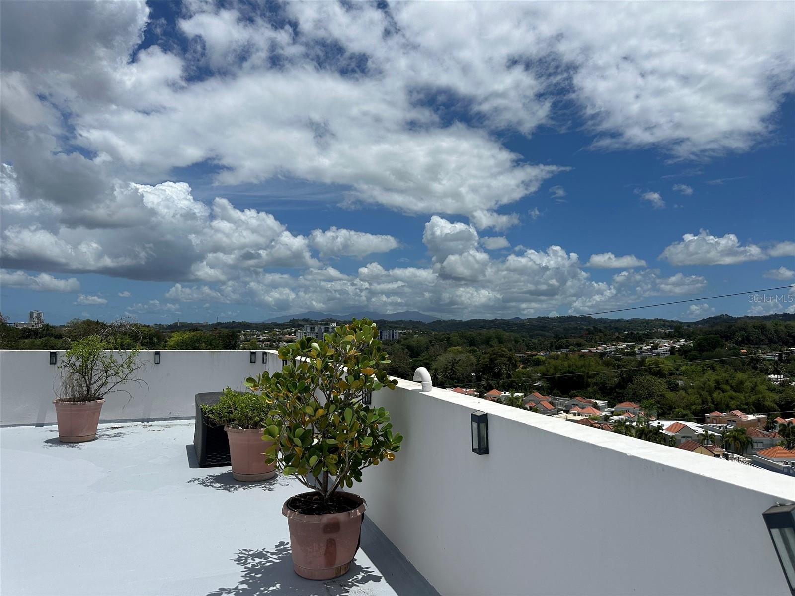 PALMARES DE MONTEVERDE #PH4