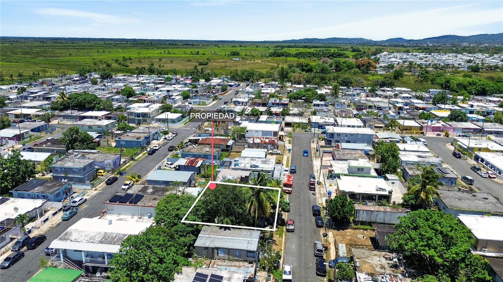 11 ST. EXT. JARDINES DE PALMAREJO, V-20