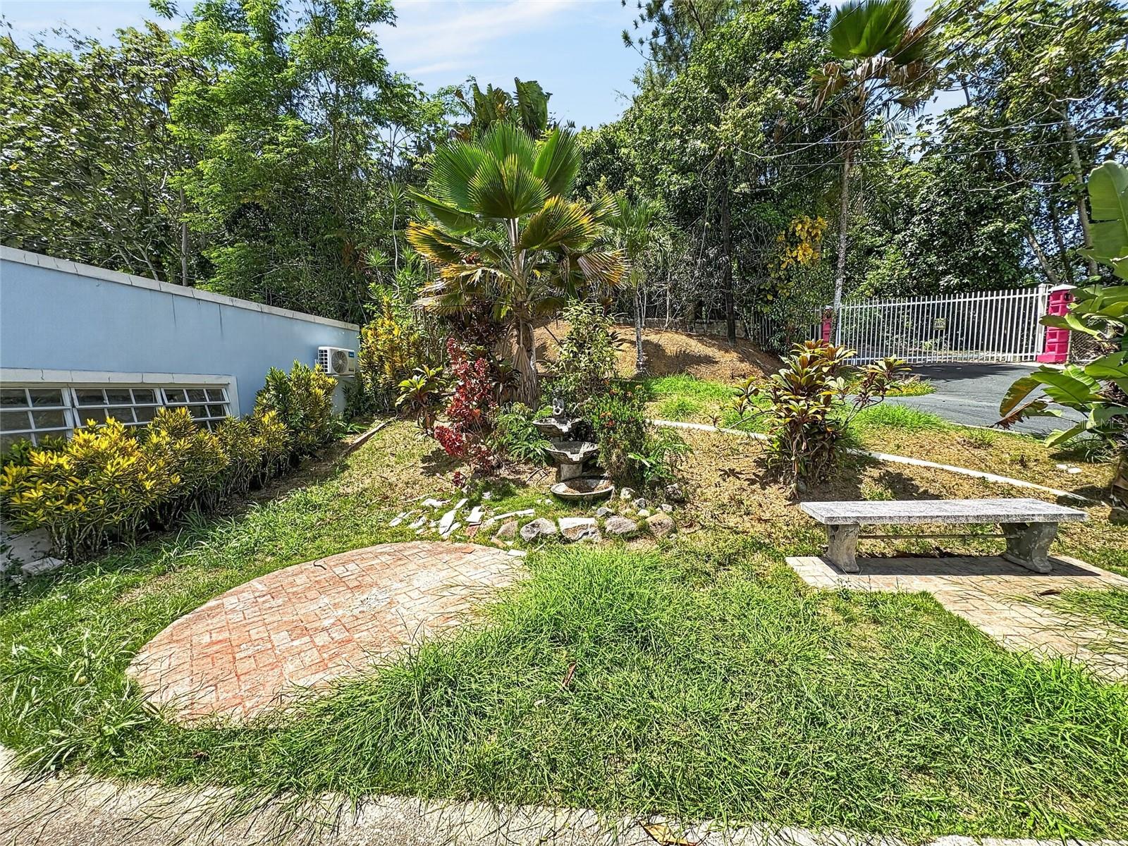 BAYAMON