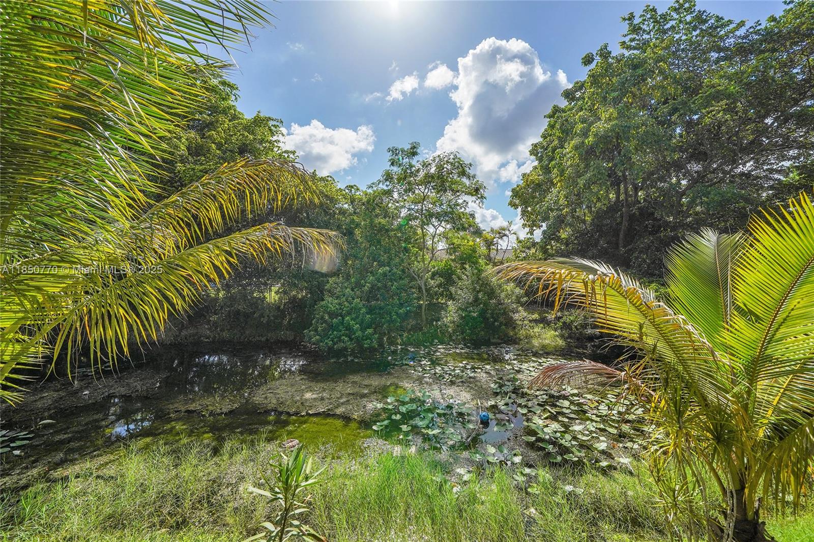 4271 Coral Springs Dr Unit: 5C