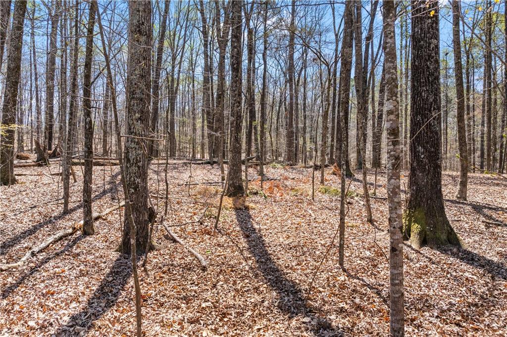 1463 Bailey Farm Drive SW