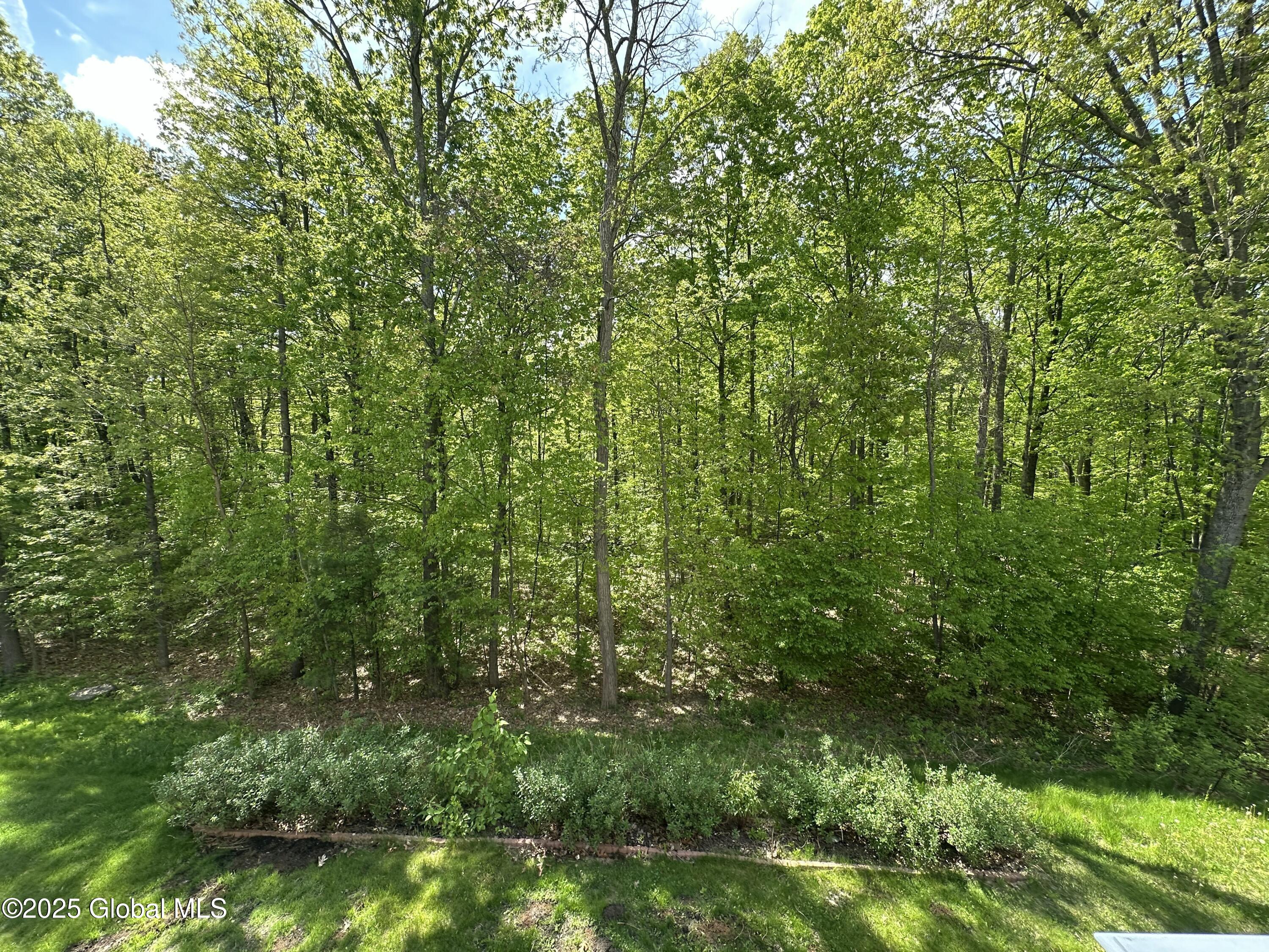 167 Fieldstone Drive