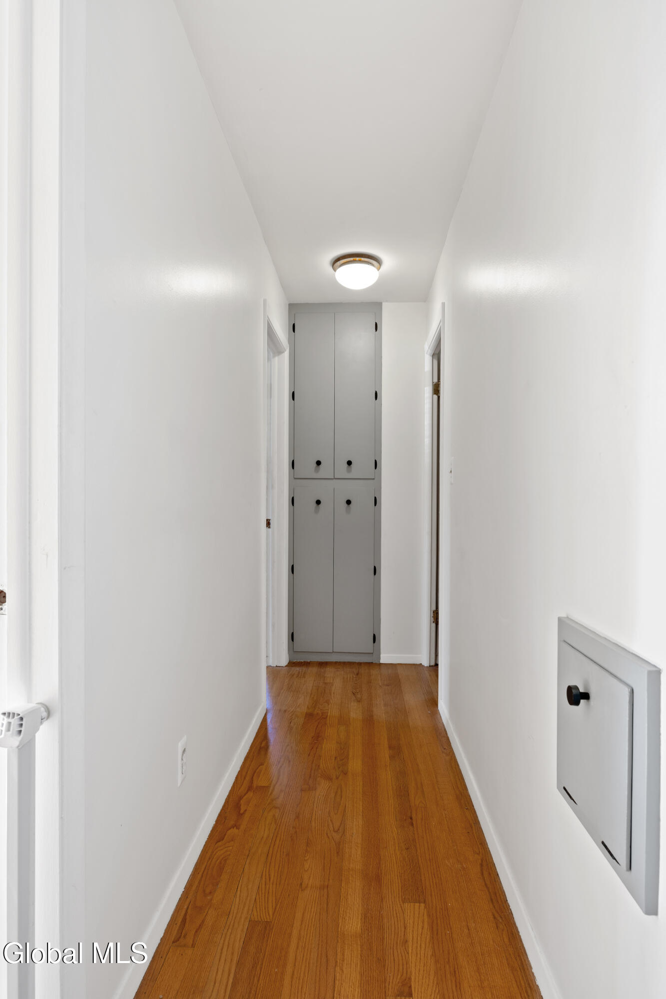 92 Homestead Avenue, Albany