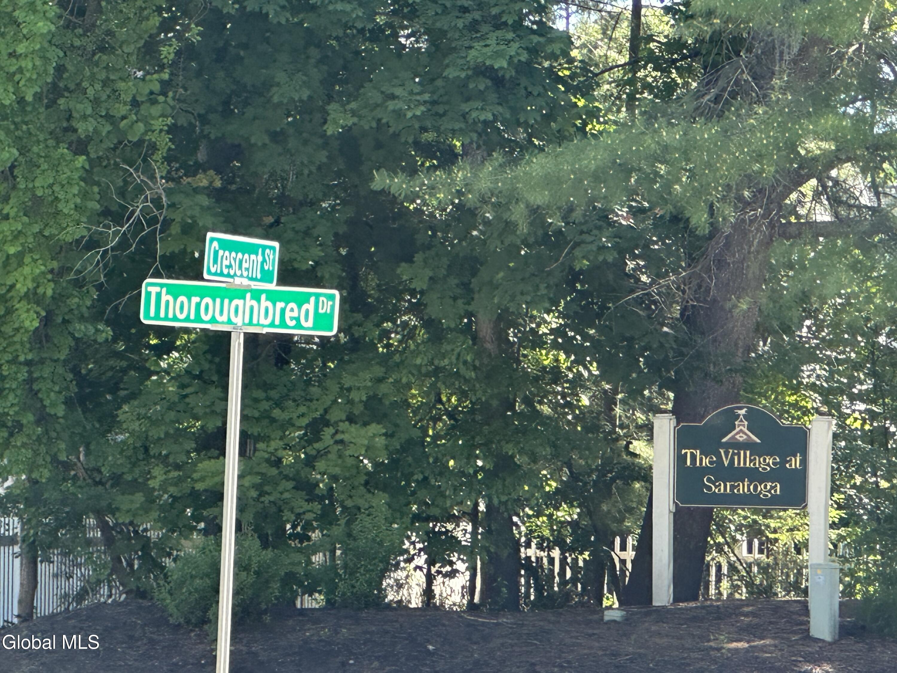 11 Thoroughbred Drive