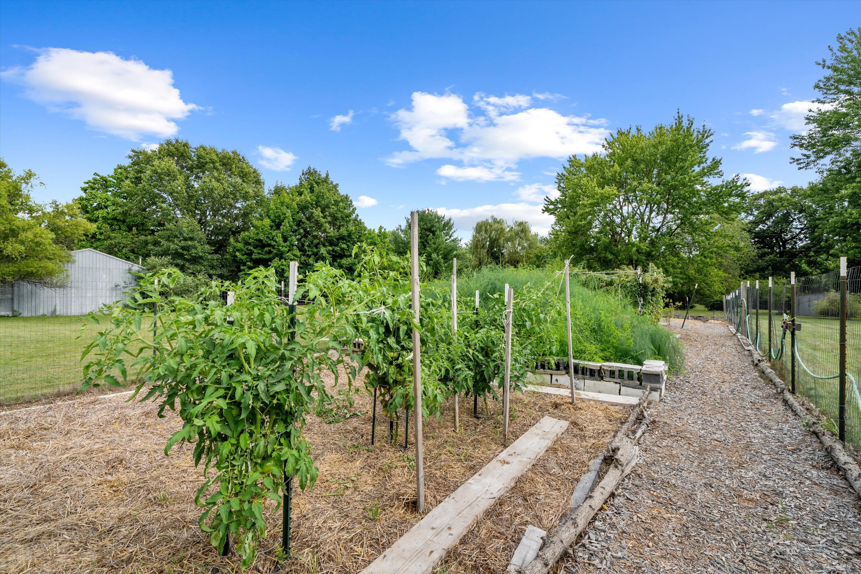 5580 Textile Road