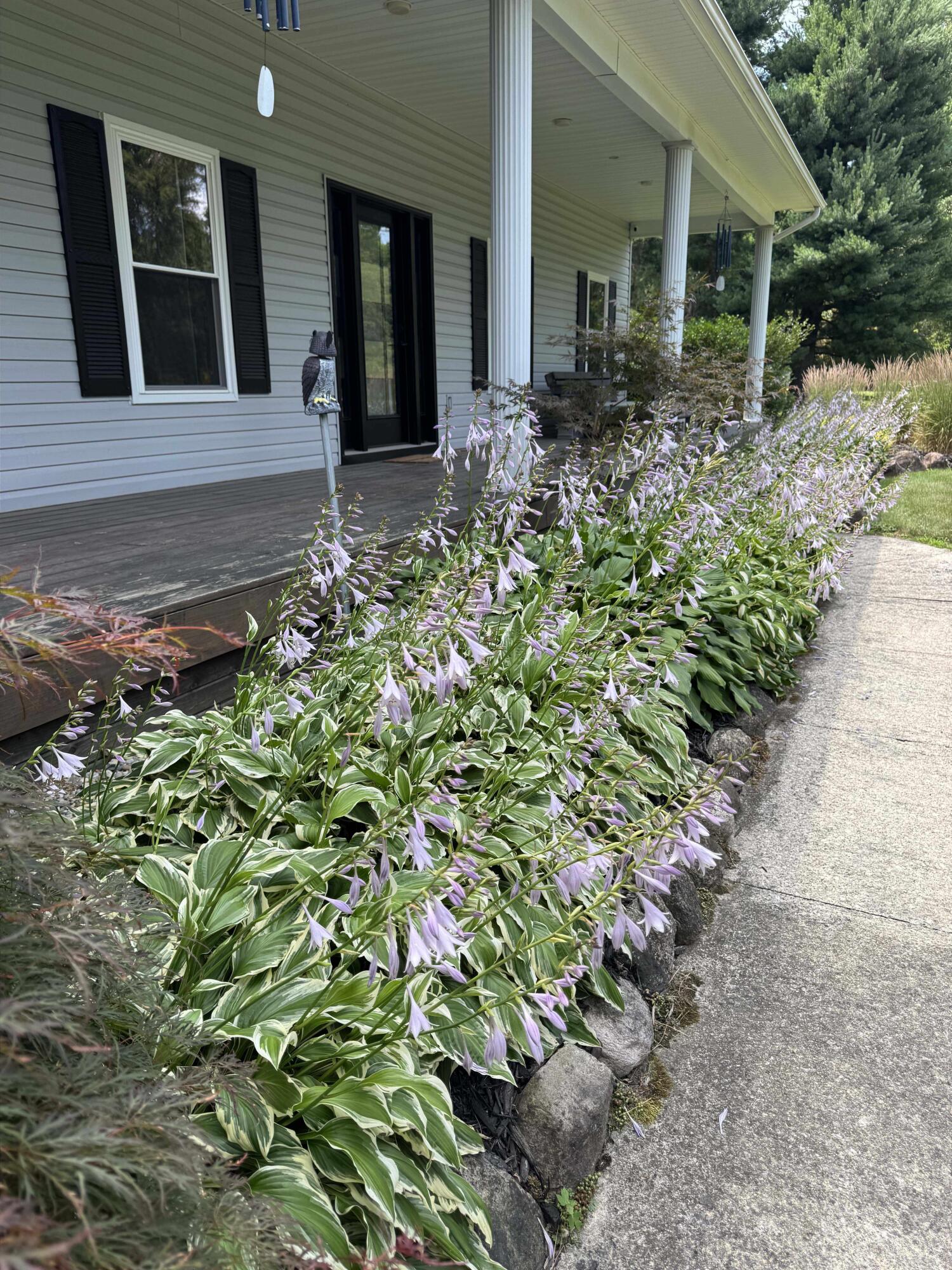 5580 Textile Road