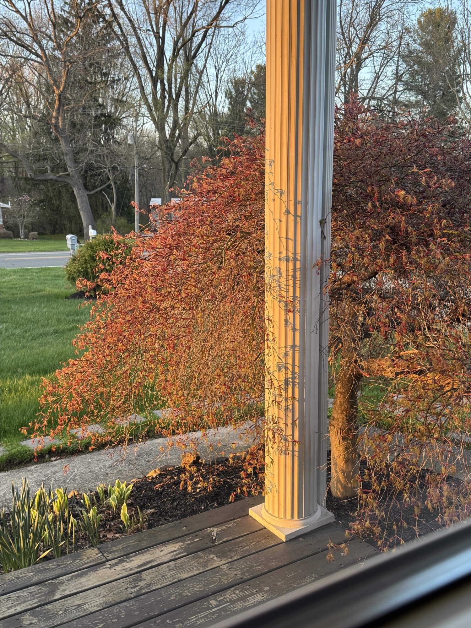 5580 Textile Road