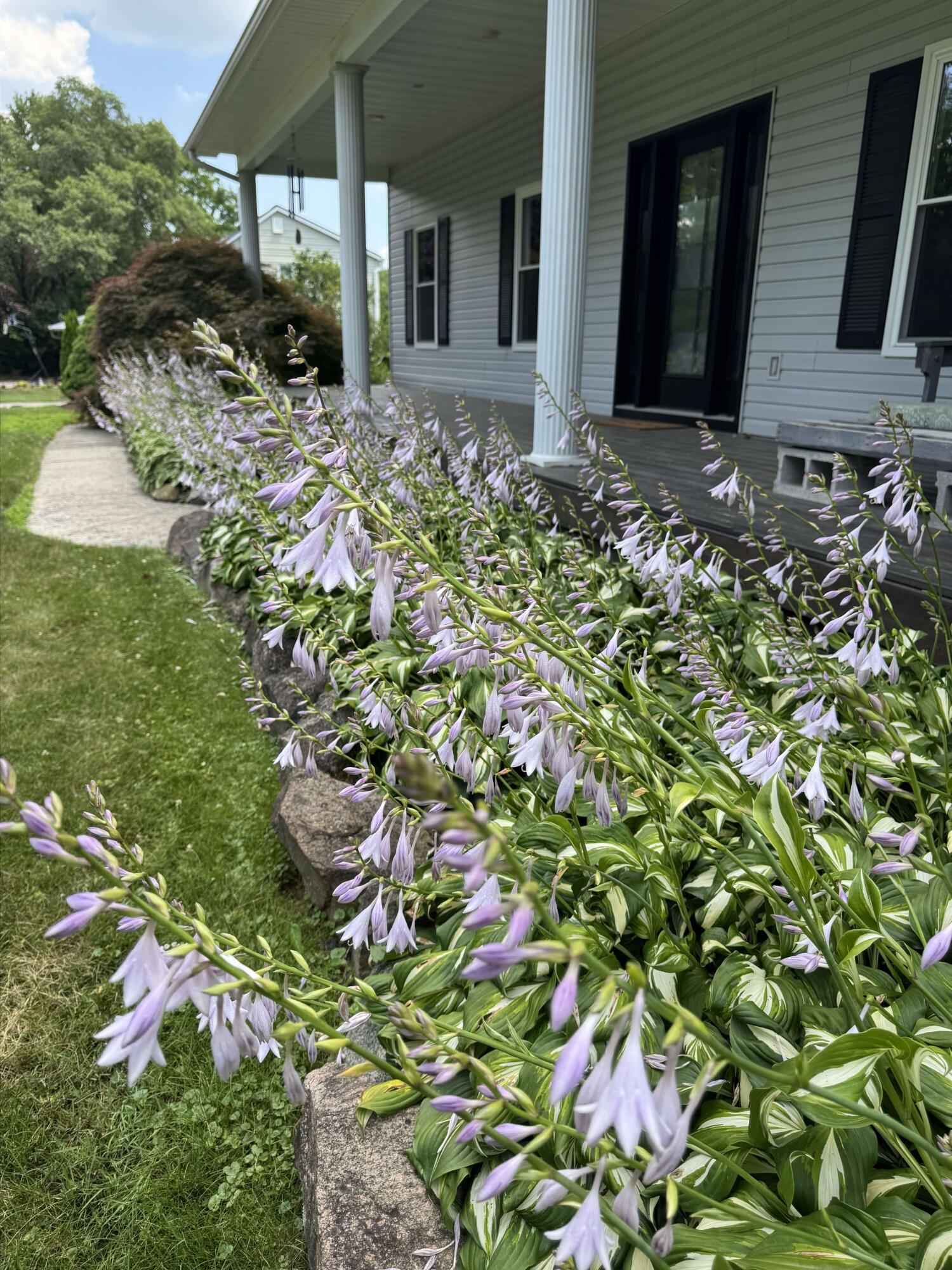 5580 Textile Road