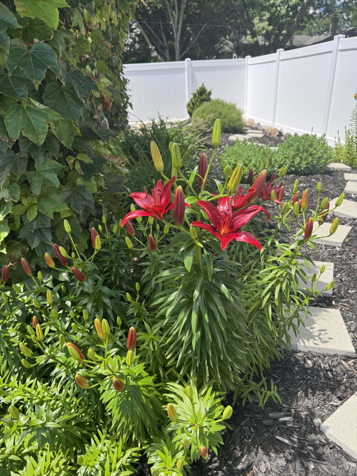5580 Textile Road