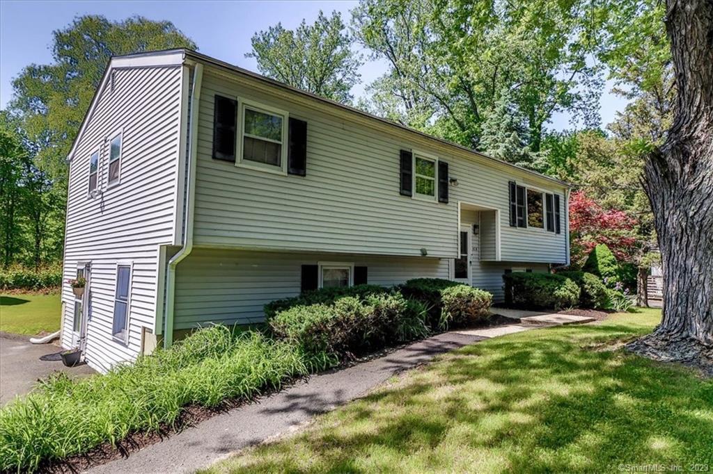 43 Plumtrees Road A