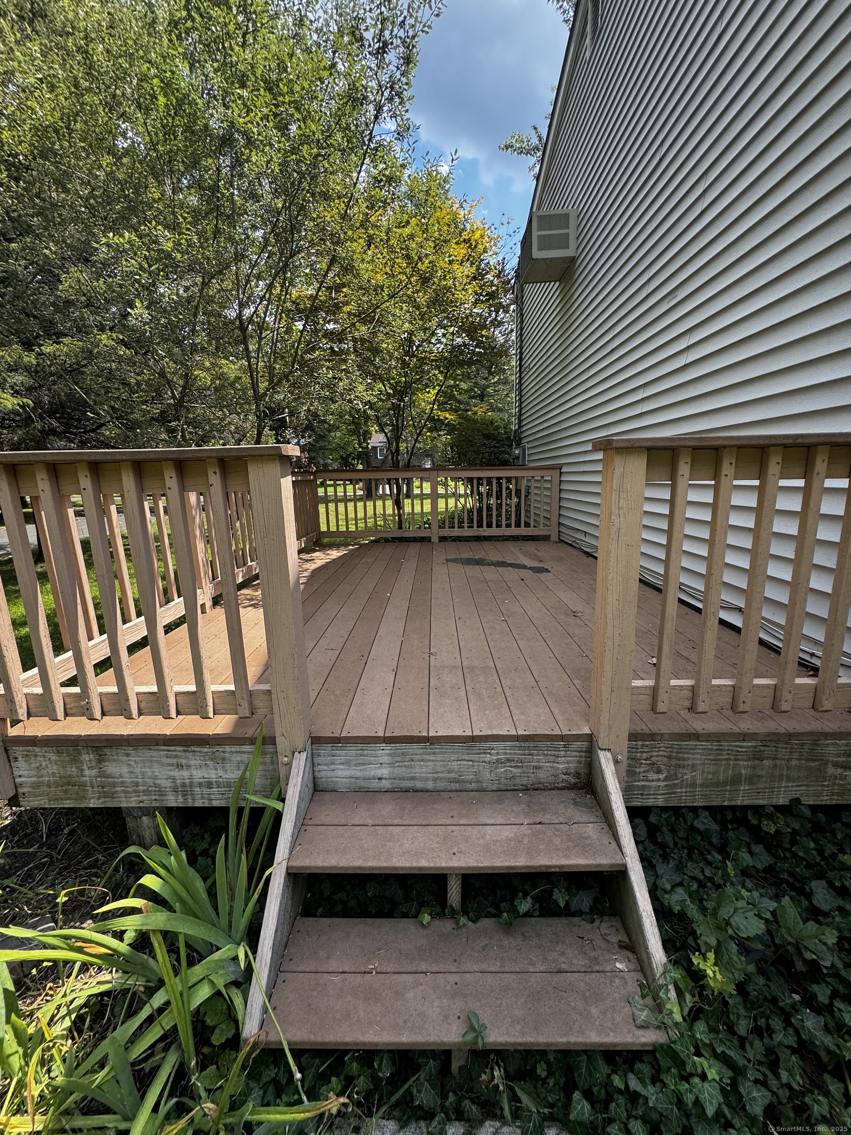 43 Plumtrees Road A