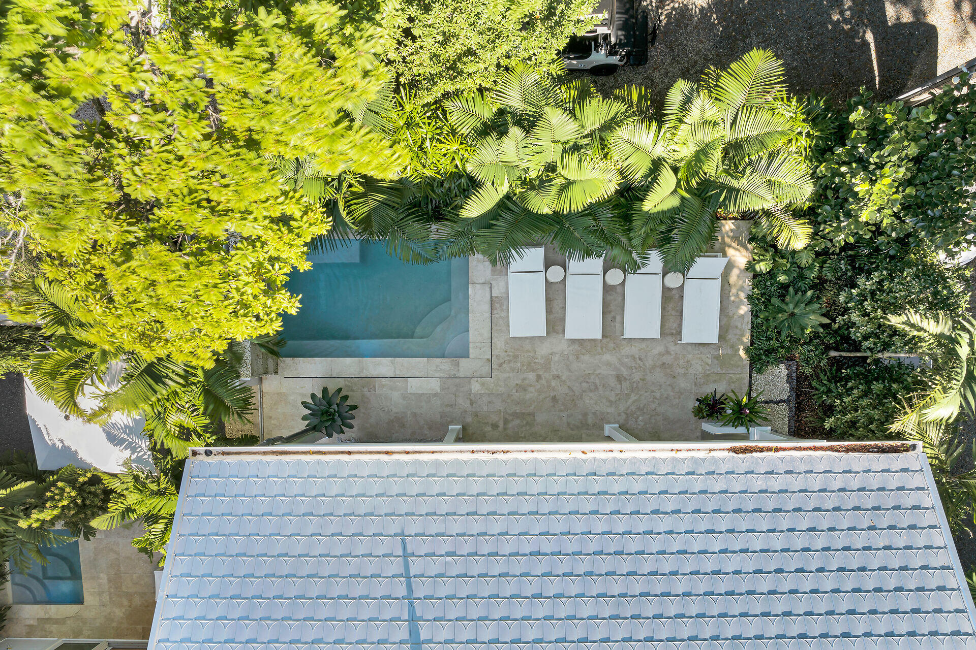 317 Whitehead Street