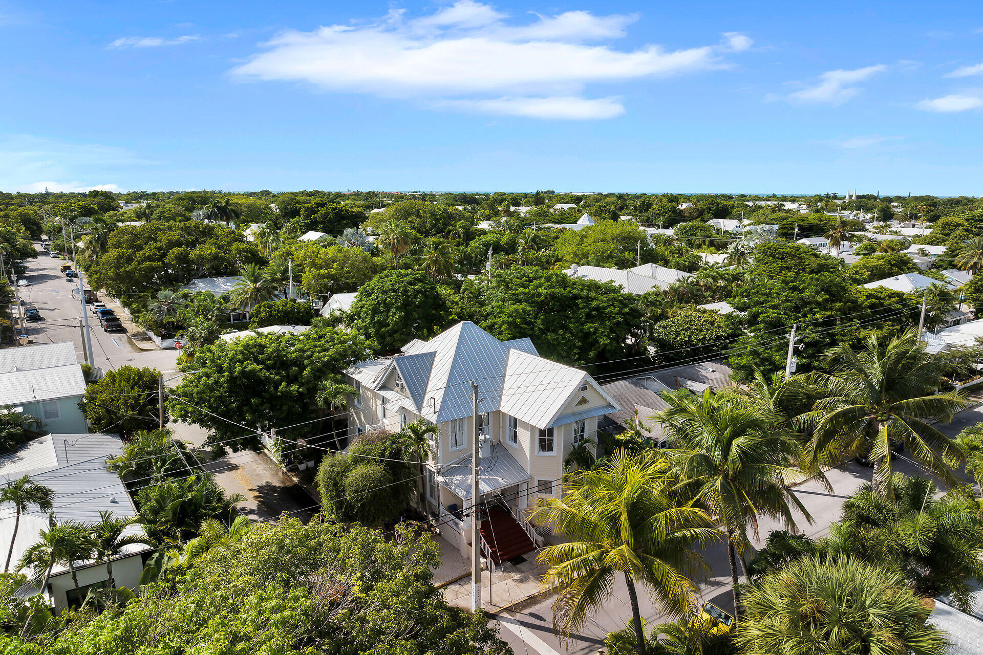 Aerial view of a light-colored home with steep metal roofs amid palms and greenery.