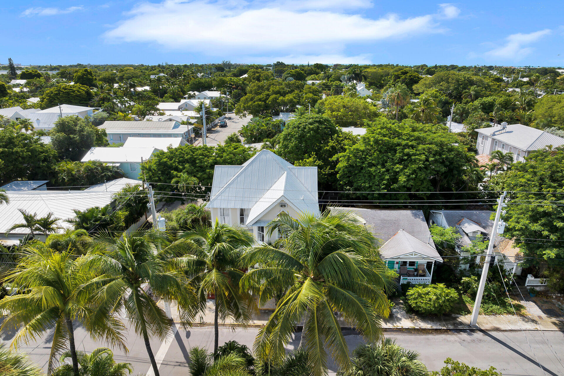 Aerial view of a white metal-roofed home surrounded by palm trees and leafy Key West homes.