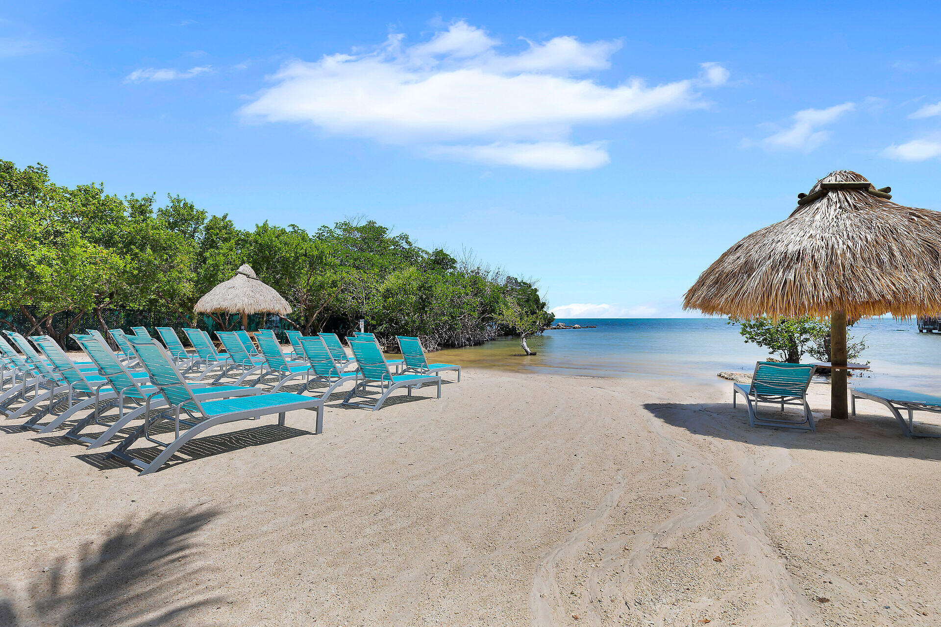 Sandy beach with turquoise lounge chairs, thatched umbrellas, and mangroves beside calm water.
