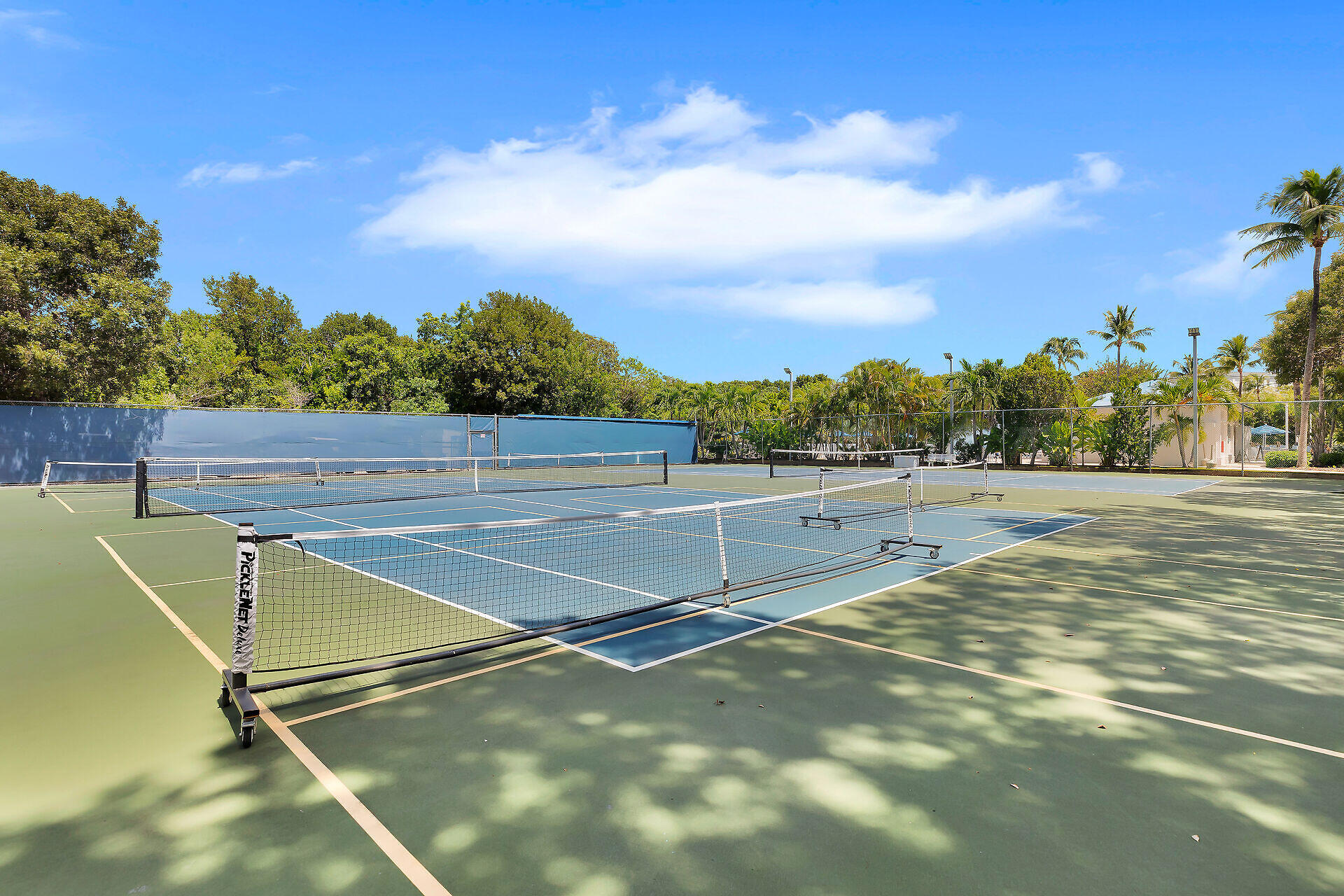 Outdoor pickleball courts with multiple nets, shaded by palms and tropical greenery.