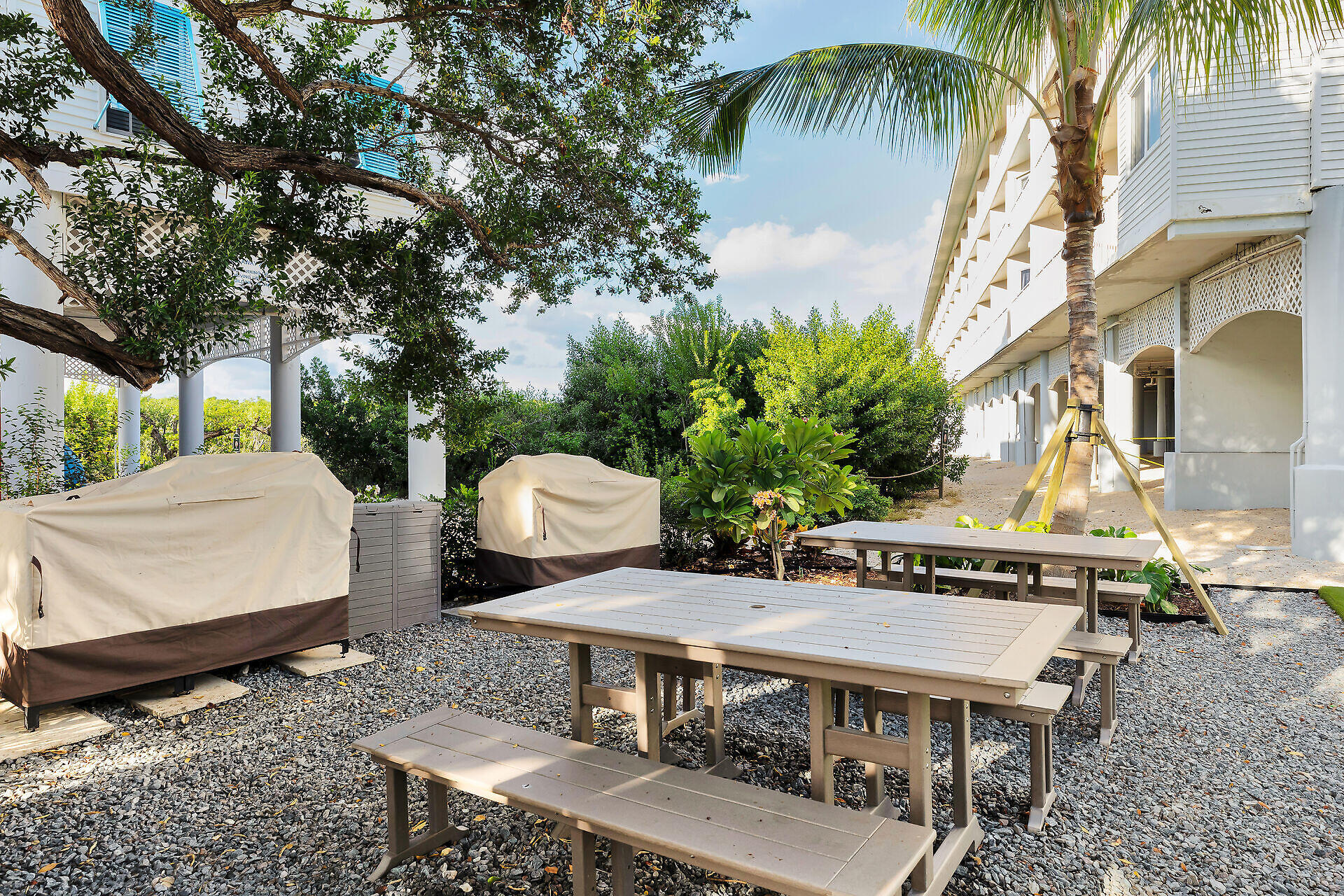 Courtyard beside a white building with picnic tables, covered grills, and palm trees.