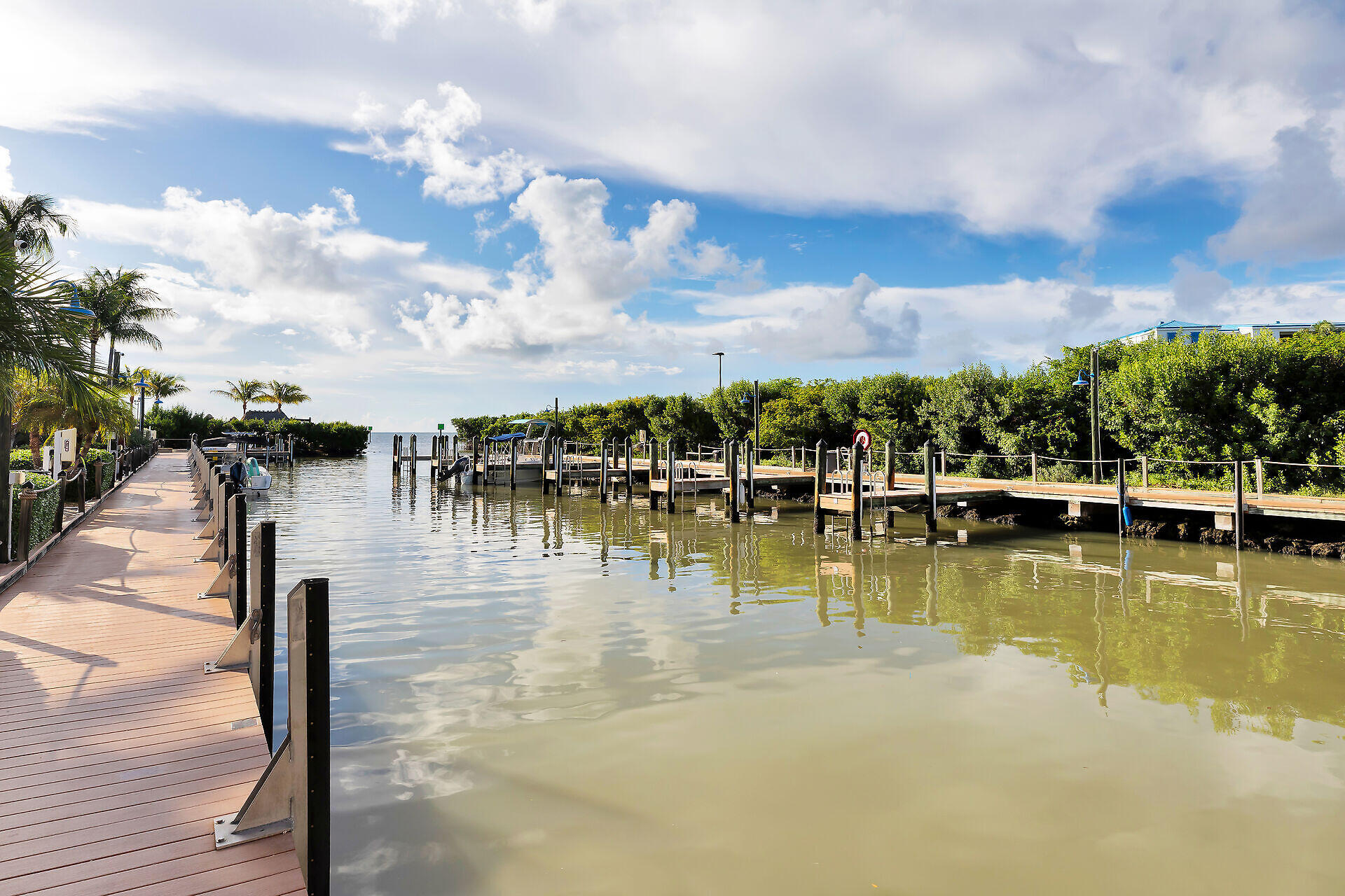 Waterfront marina with wooden docks, boat slips, and a palm-lined boardwalk.
