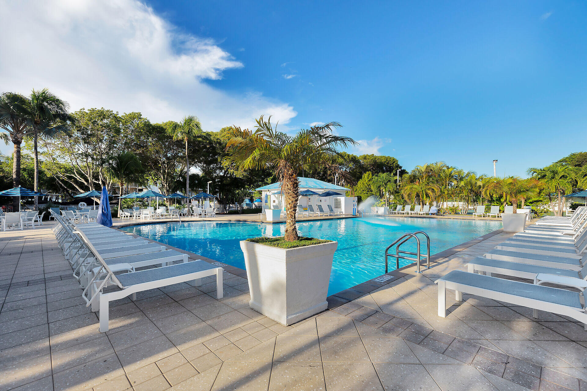 Outdoor swimming pool with lounge chairs, palm trees, and a poolside pavilion.