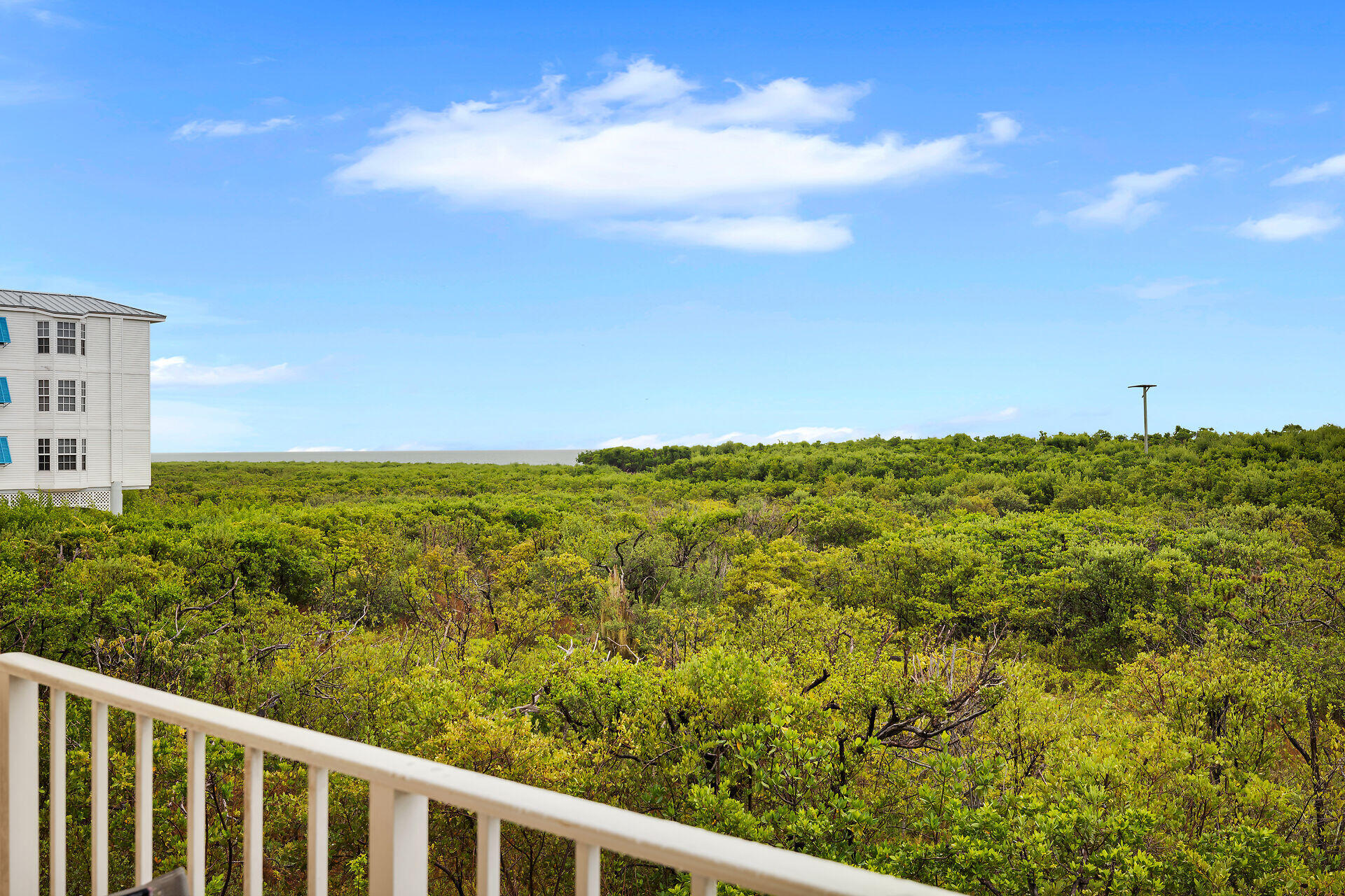 Balcony view over green mangroves toward the water, with a neighboring condominium at left.