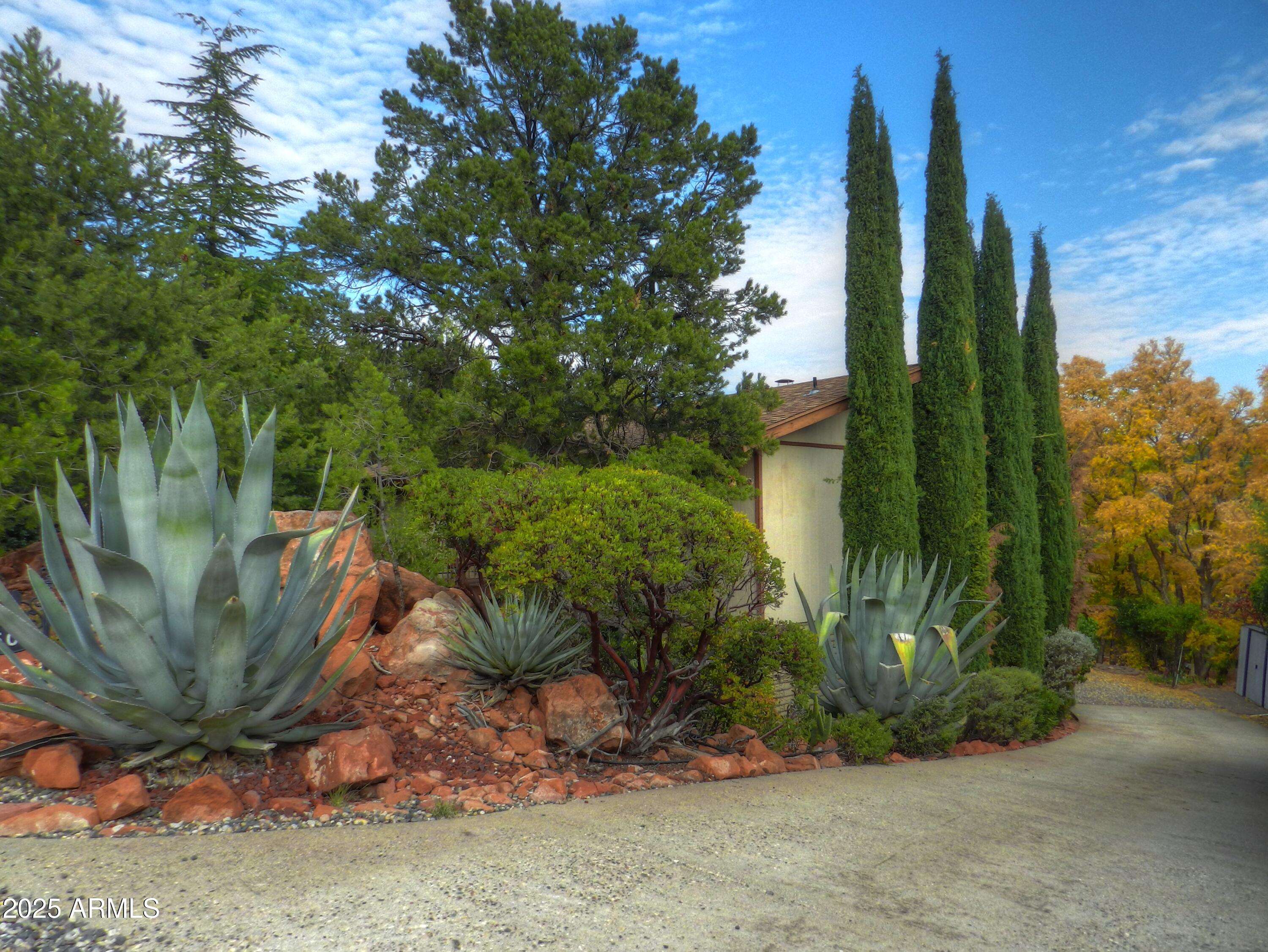 50 MOGOLLON Drive