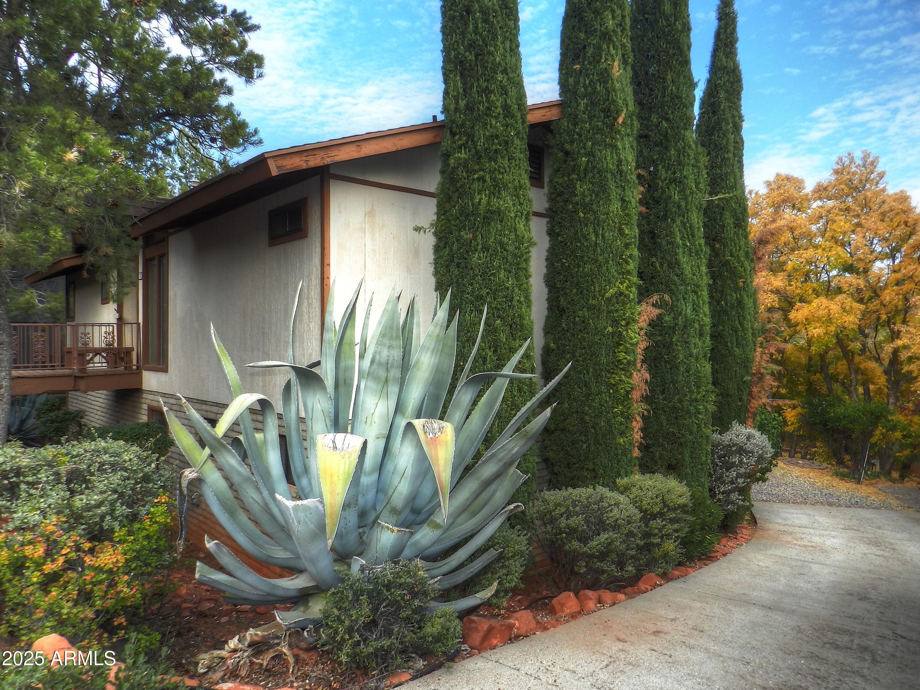 50 MOGOLLON Drive
