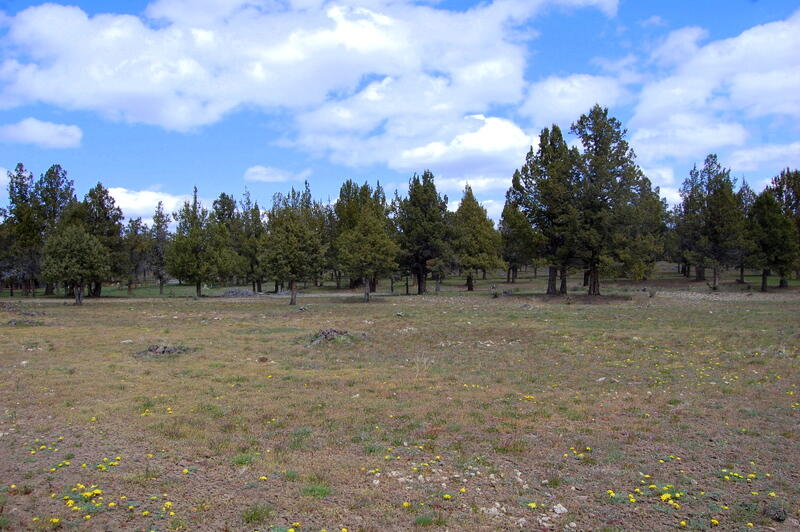 0 TL 2000 SE Juniper Canyon Road