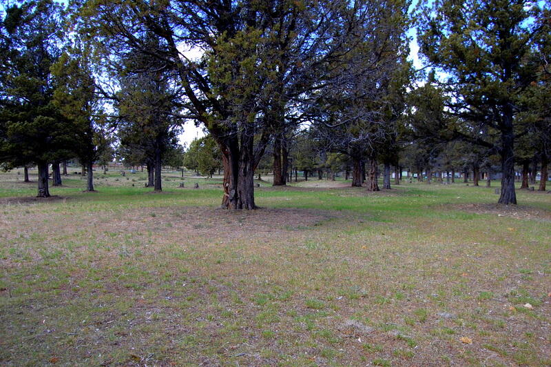 0 TL 2000 SE Juniper Canyon Road