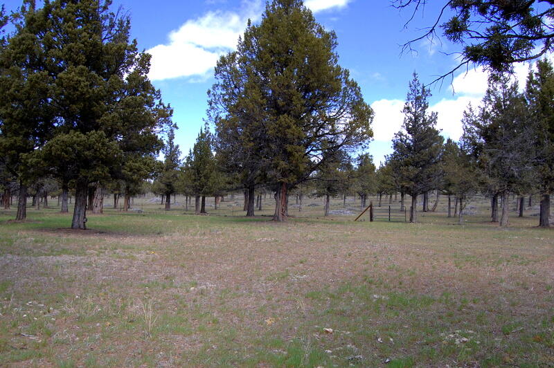 0 TL 2000 SE Juniper Canyon Road