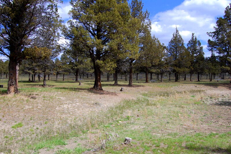 0 TL 2000 SE Juniper Canyon Road