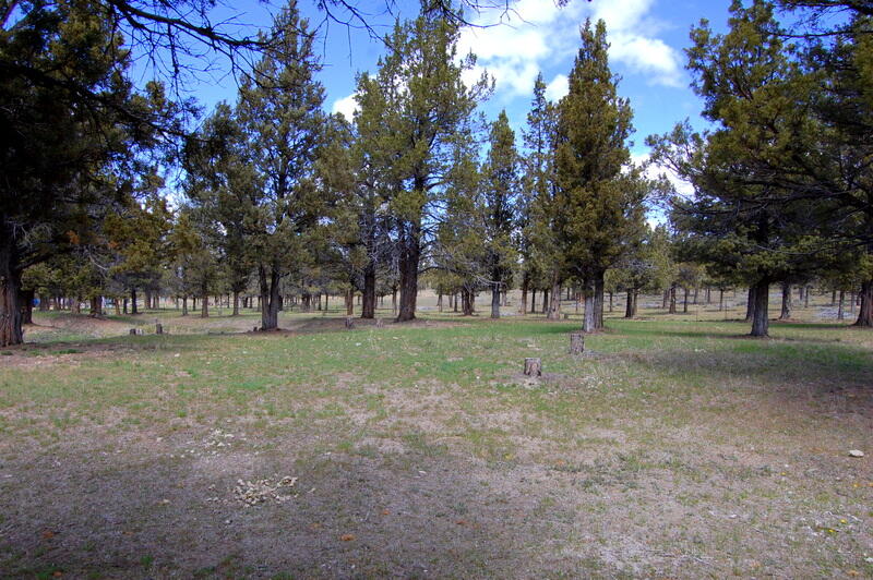 0 TL 2000 SE Juniper Canyon Road