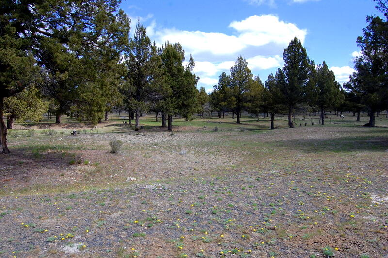 0 TL 2000 SE Juniper Canyon Road