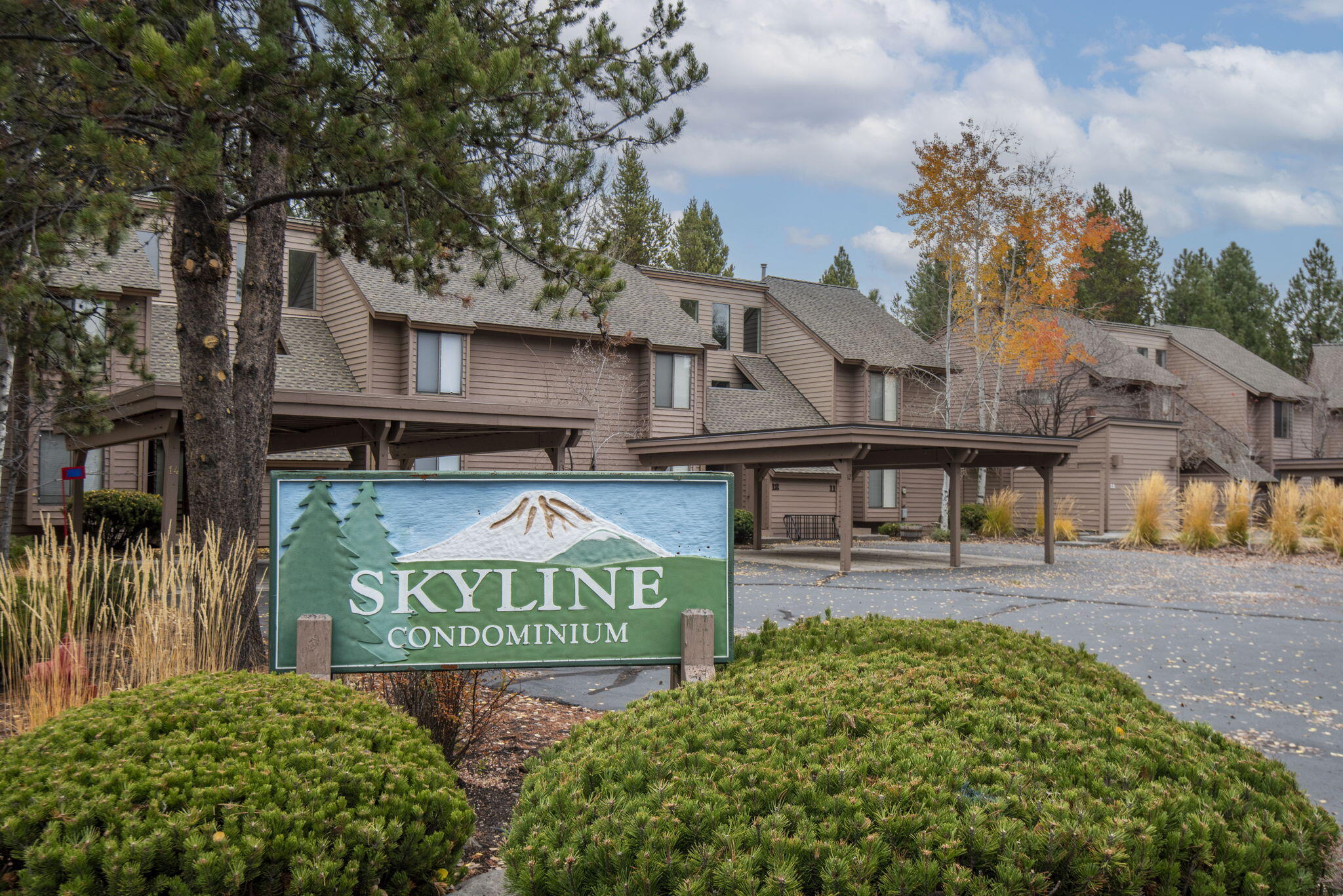 17722 Lake Aspen Court, 6