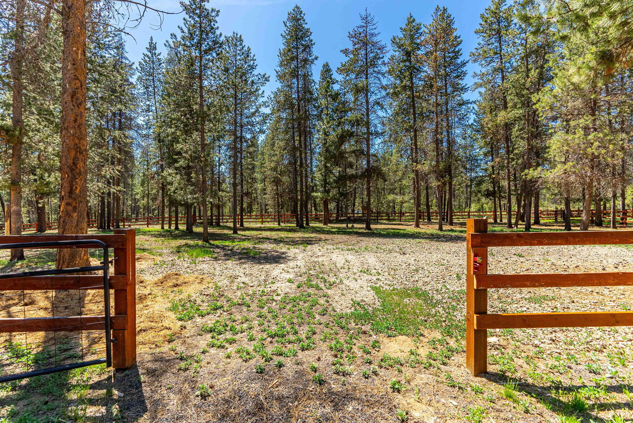 16815 Derringer Road