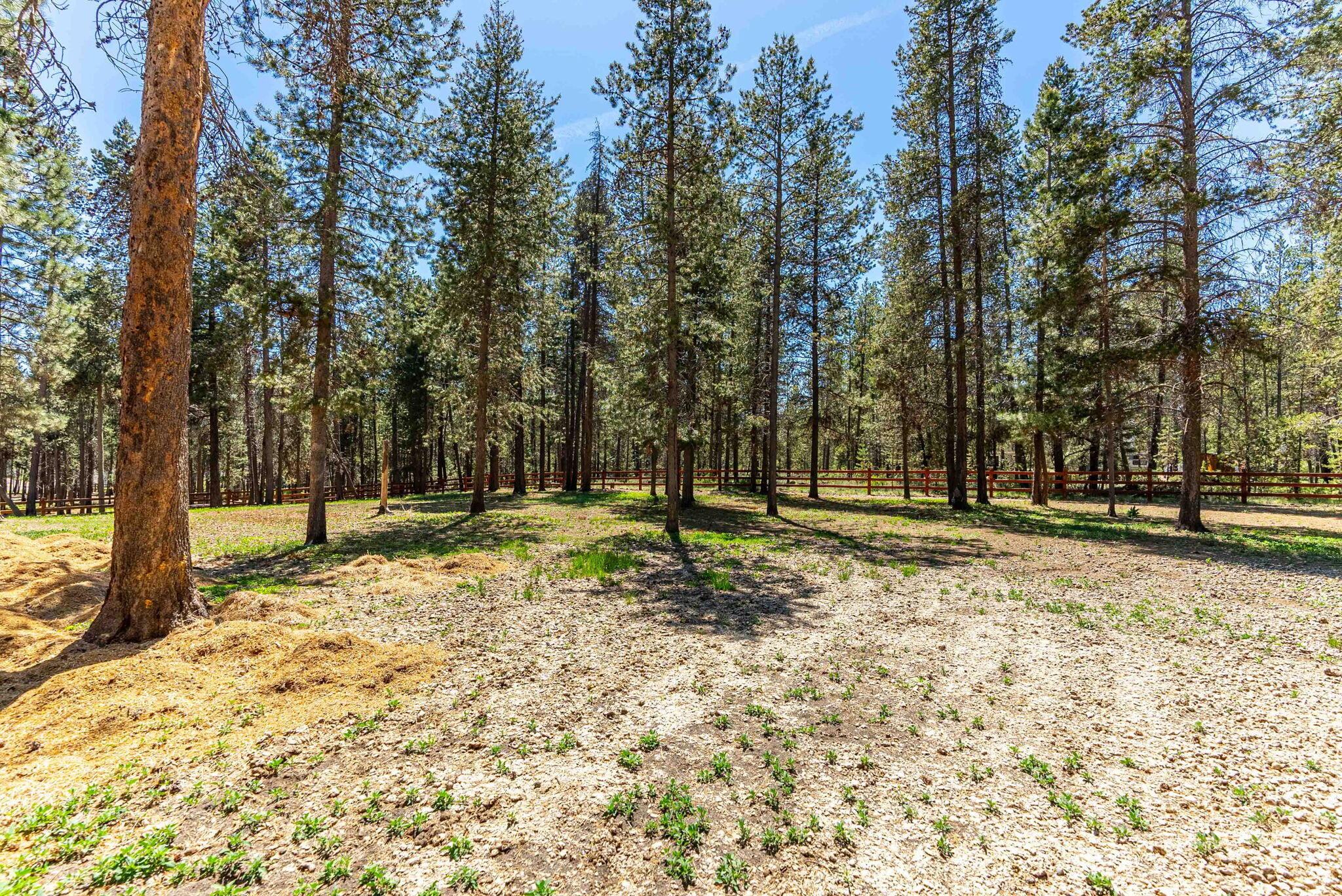 16815 Derringer Road