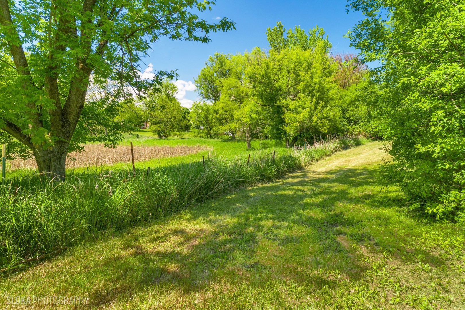 23489 N Old Barrington Road