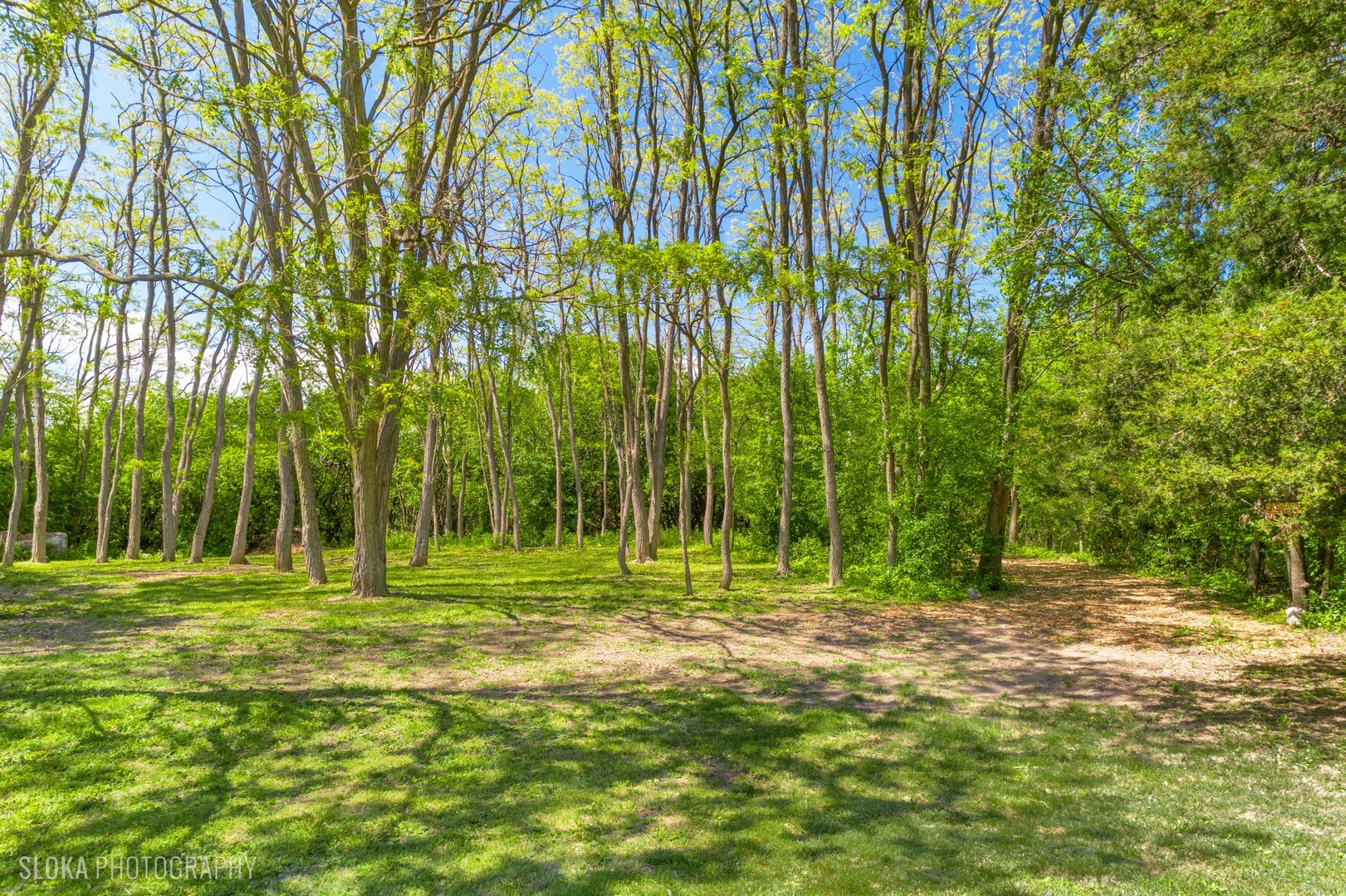 23489 N Old Barrington Road