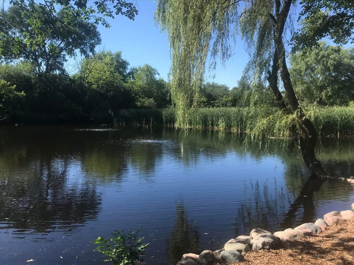 21032 N Crestview Drive