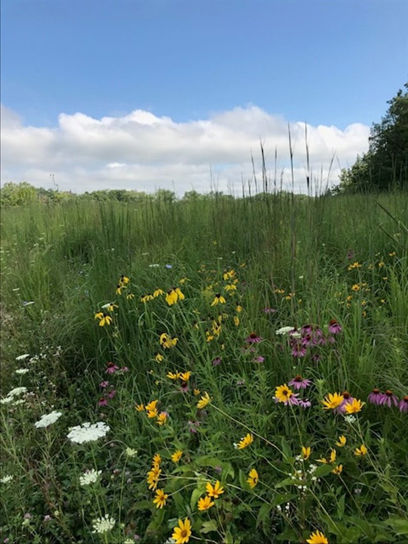 1281 E Longwood Drive