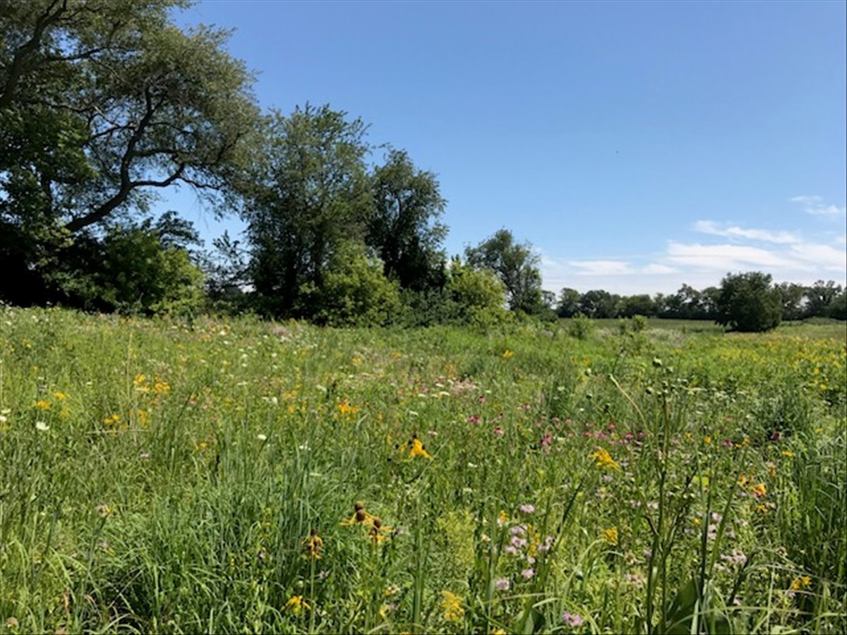 1281 E Longwood Drive