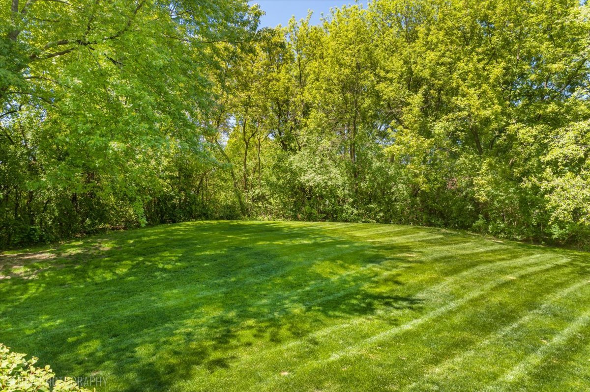 103 Equestrian Way