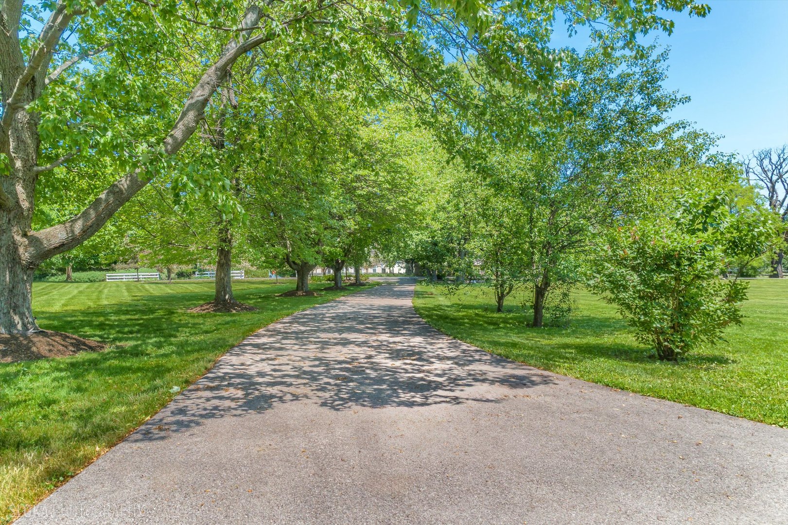 209 Spring Creek Road