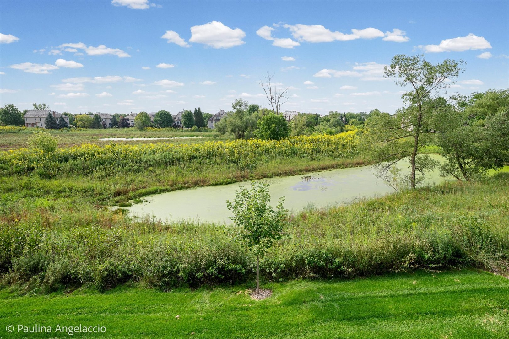 1013 Ridgeview Drive
