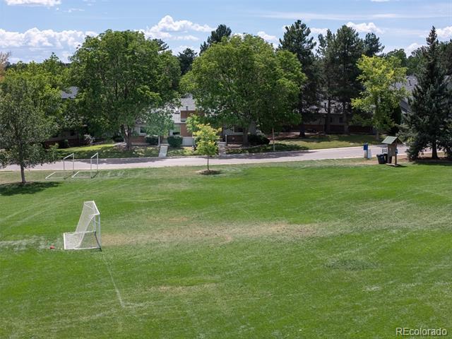 Neighborhood soccer field with small goals, mature trees, and homes across the street.