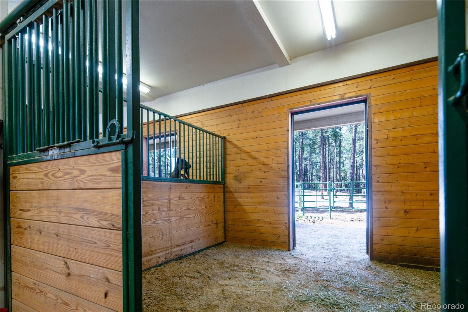 5014 S Perry Park Road