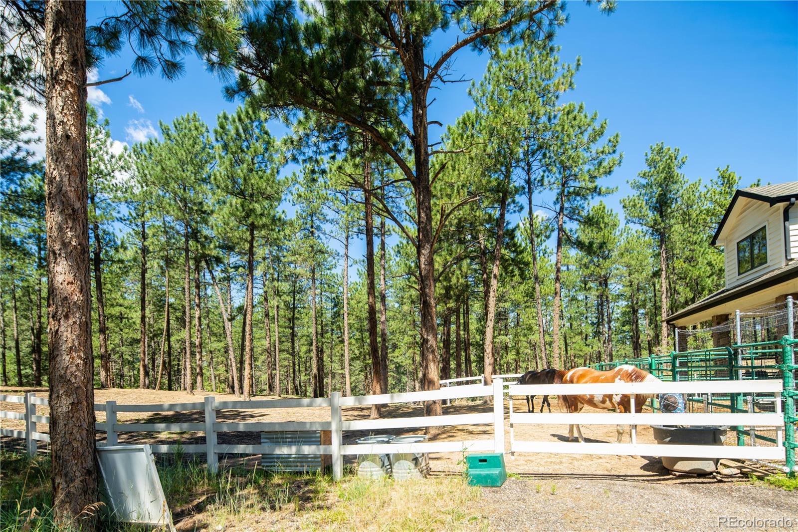 5014 S Perry Park Road