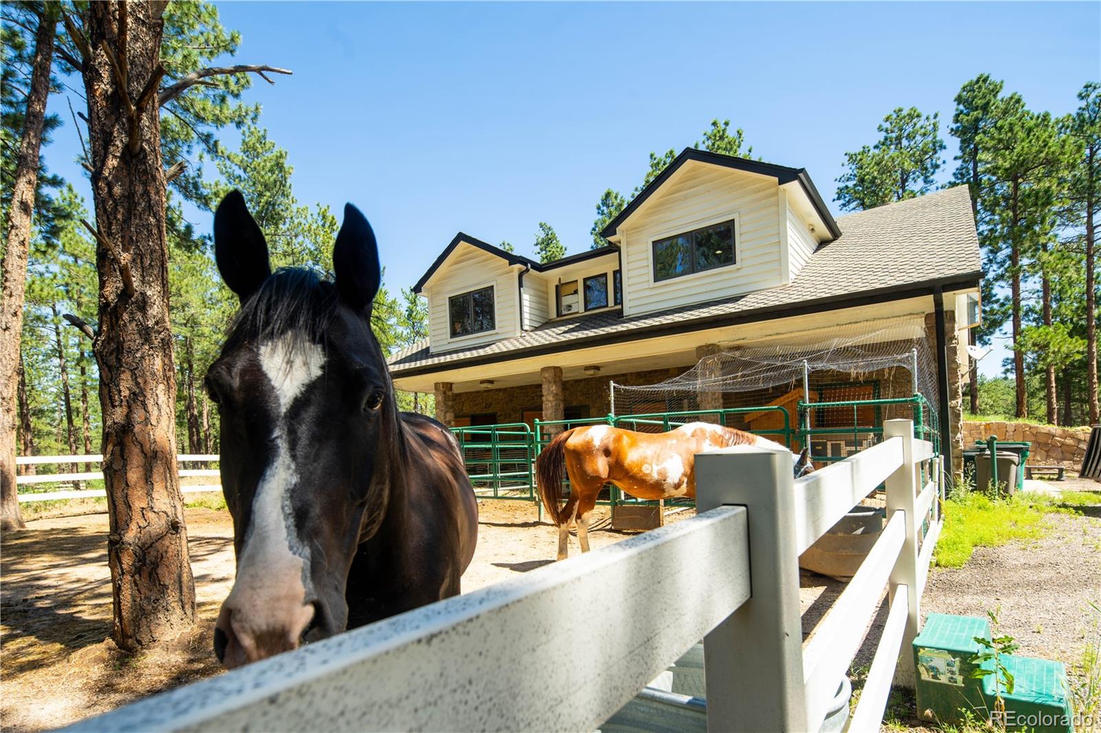 5014 S Perry Park Road