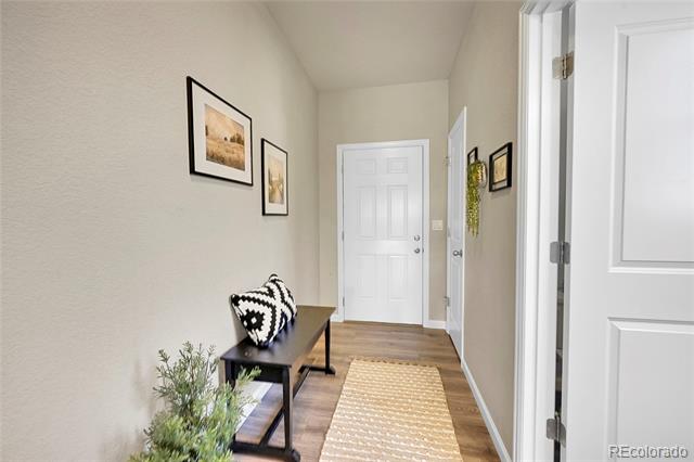 Entry hallway with a white paneled front door, wood floors, woven runner, and console table.