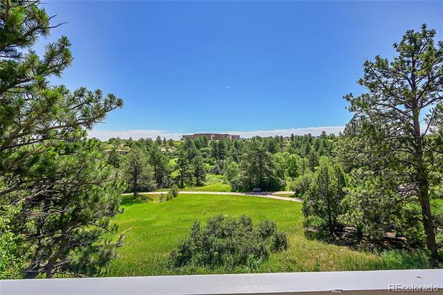 Tree-framed view over a grassy clearing toward distant buildings.